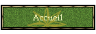 Accueil